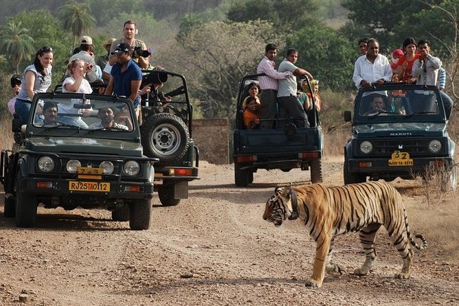 Indian architecture on the Golden Triangle with Wildlife Tour