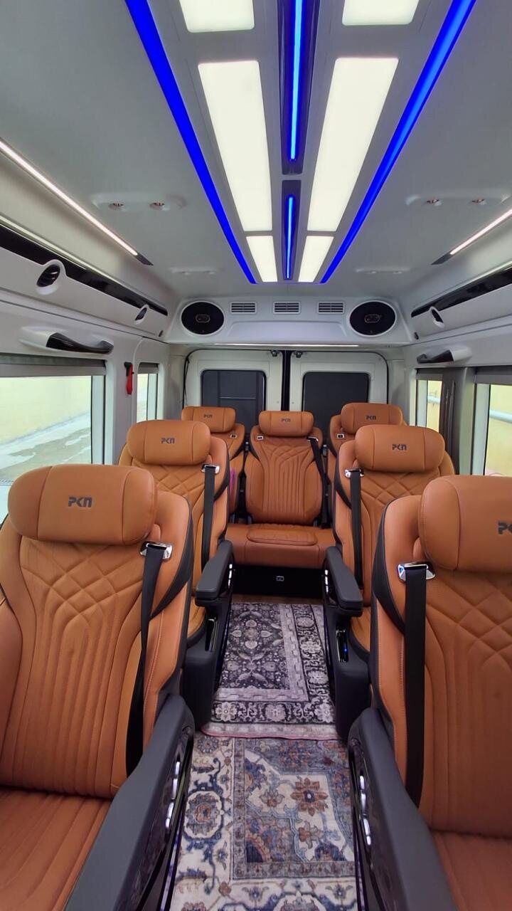 Plush Reclining Individual Leather Captain Seats